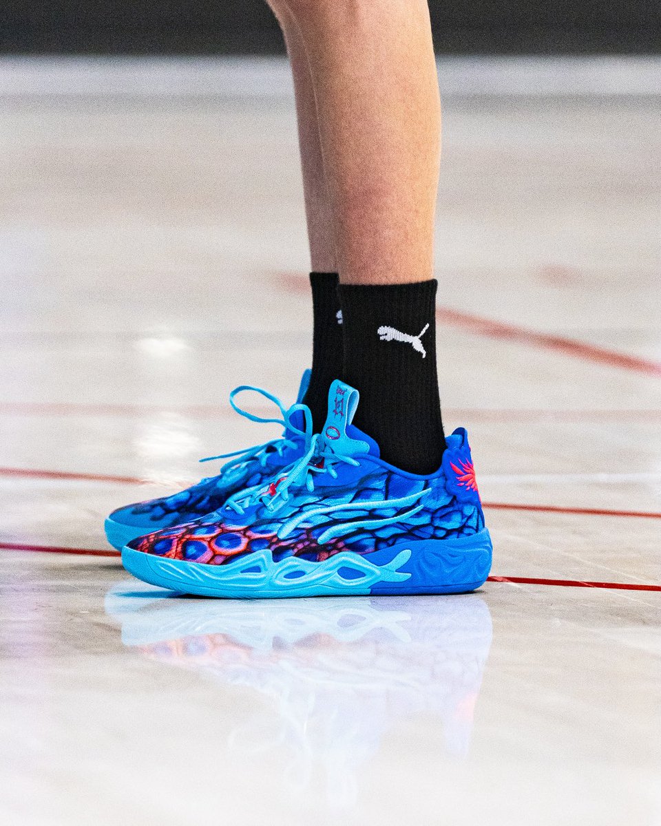 NXTPRO Hoops tweet media