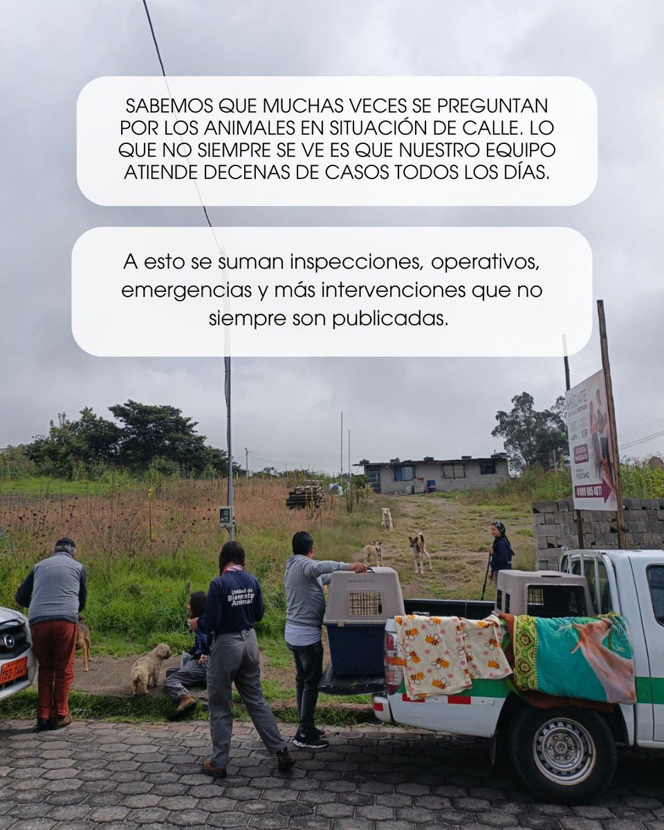 Unidad de Bienestar Animal Quito tweet media