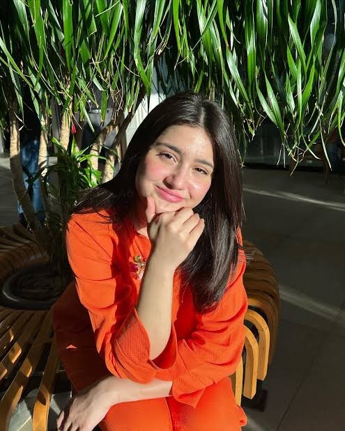 Amna Khan tweet media