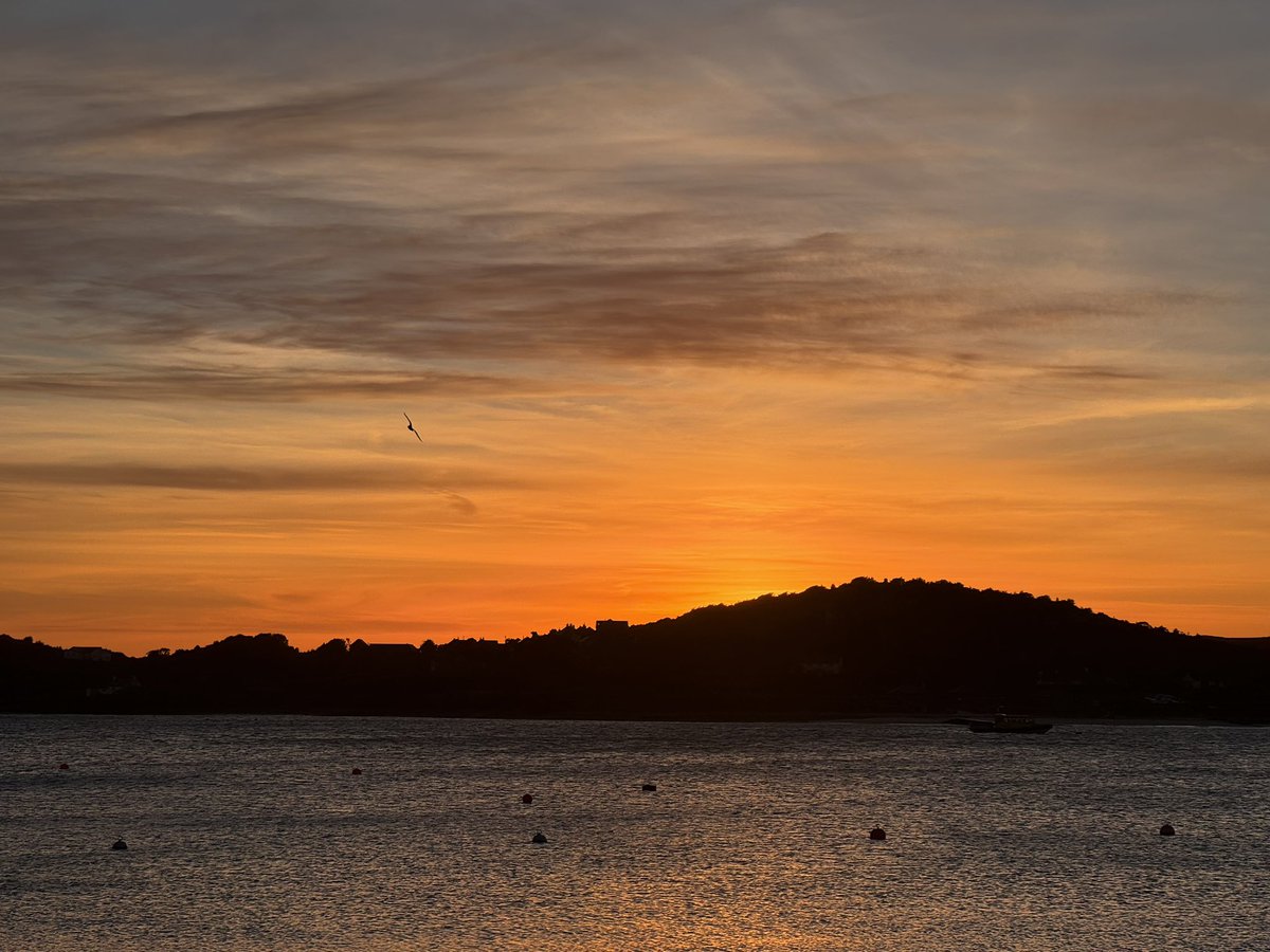 St Agnes Niki tweet media