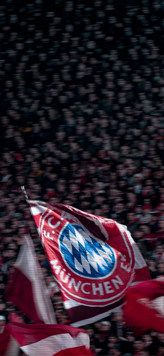 إيغُور | خلفيّات 👨🏻‍💻🤍. tweet media