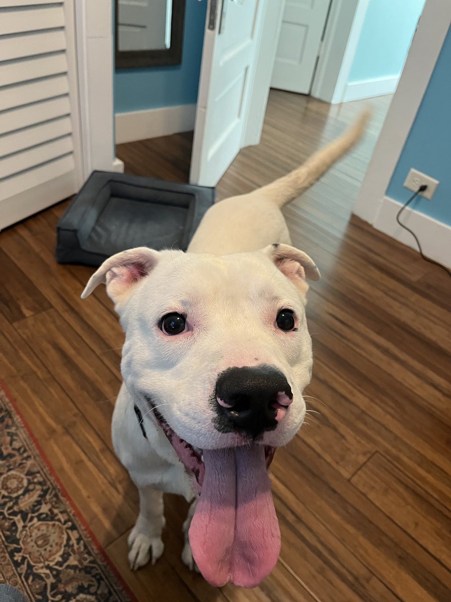 Text Line tweet media