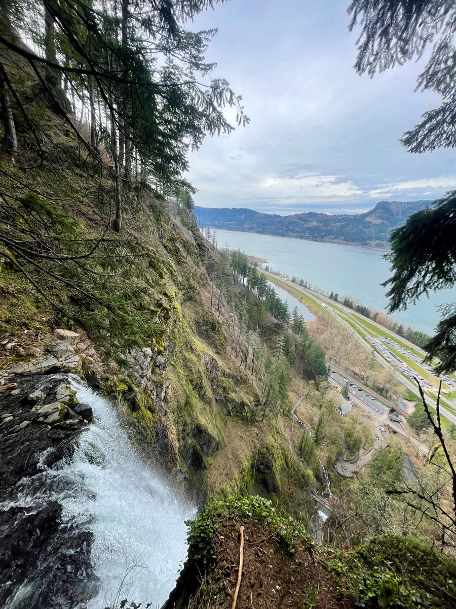 Colton Greenwood tweet media