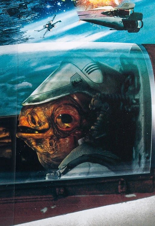 laguna_bob tweet media