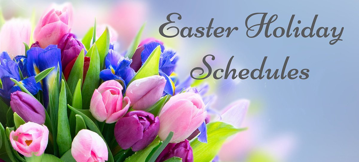 Trans-Bridge Lines tweet media