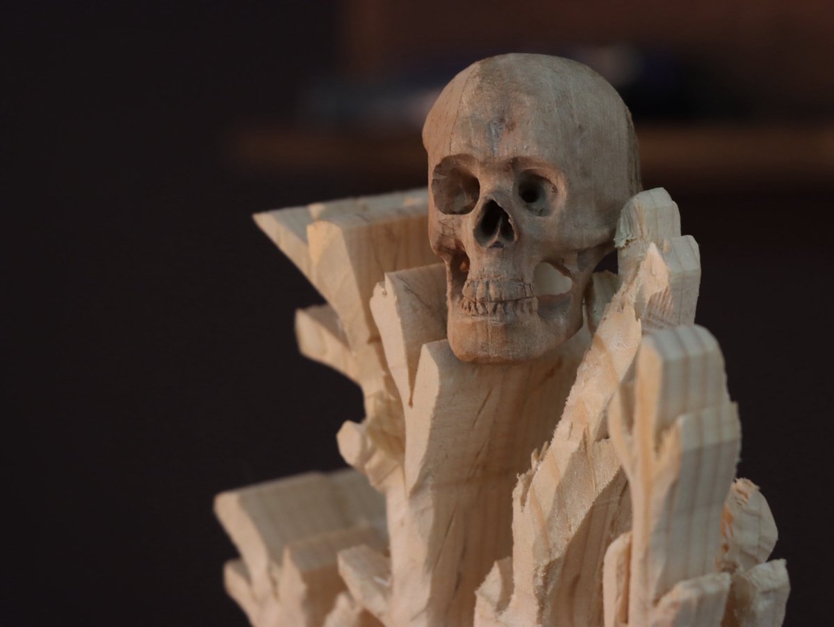  Treeshe 𐂂 tweet media