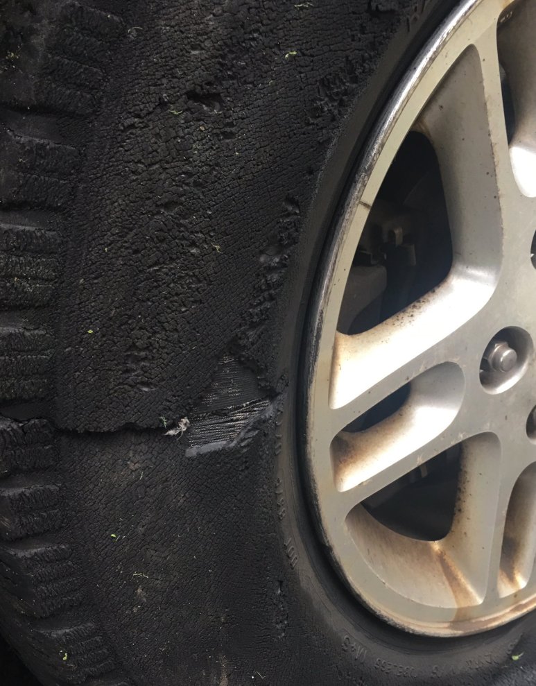 Frankly Frank tweet media