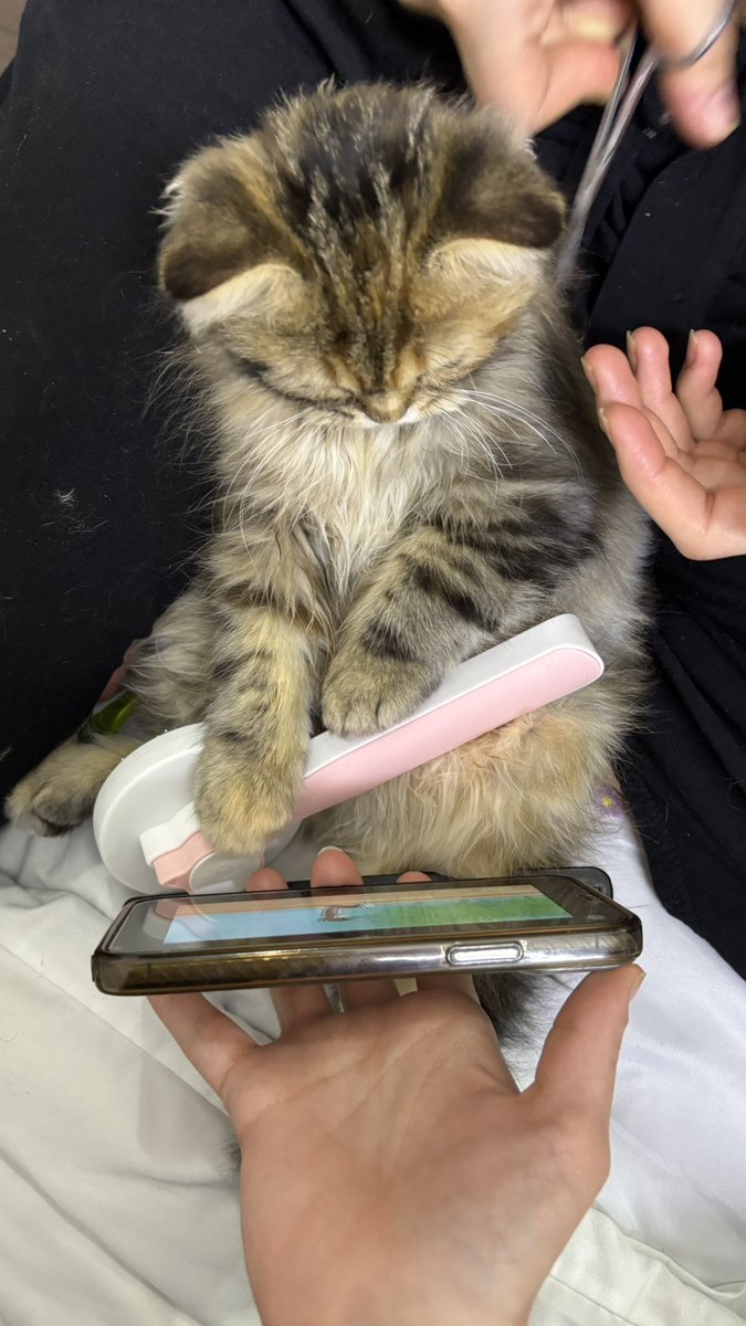 Anoodrr's tweet photo. استعدادات العيد السعيد 🥳✂️🐈‍⬛ https://t.co/FO7UbYoGXY
