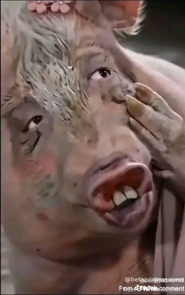 Mack Midas✨️ tweet media