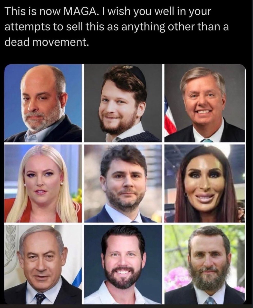 Marvin Sensible Centrist tweet media