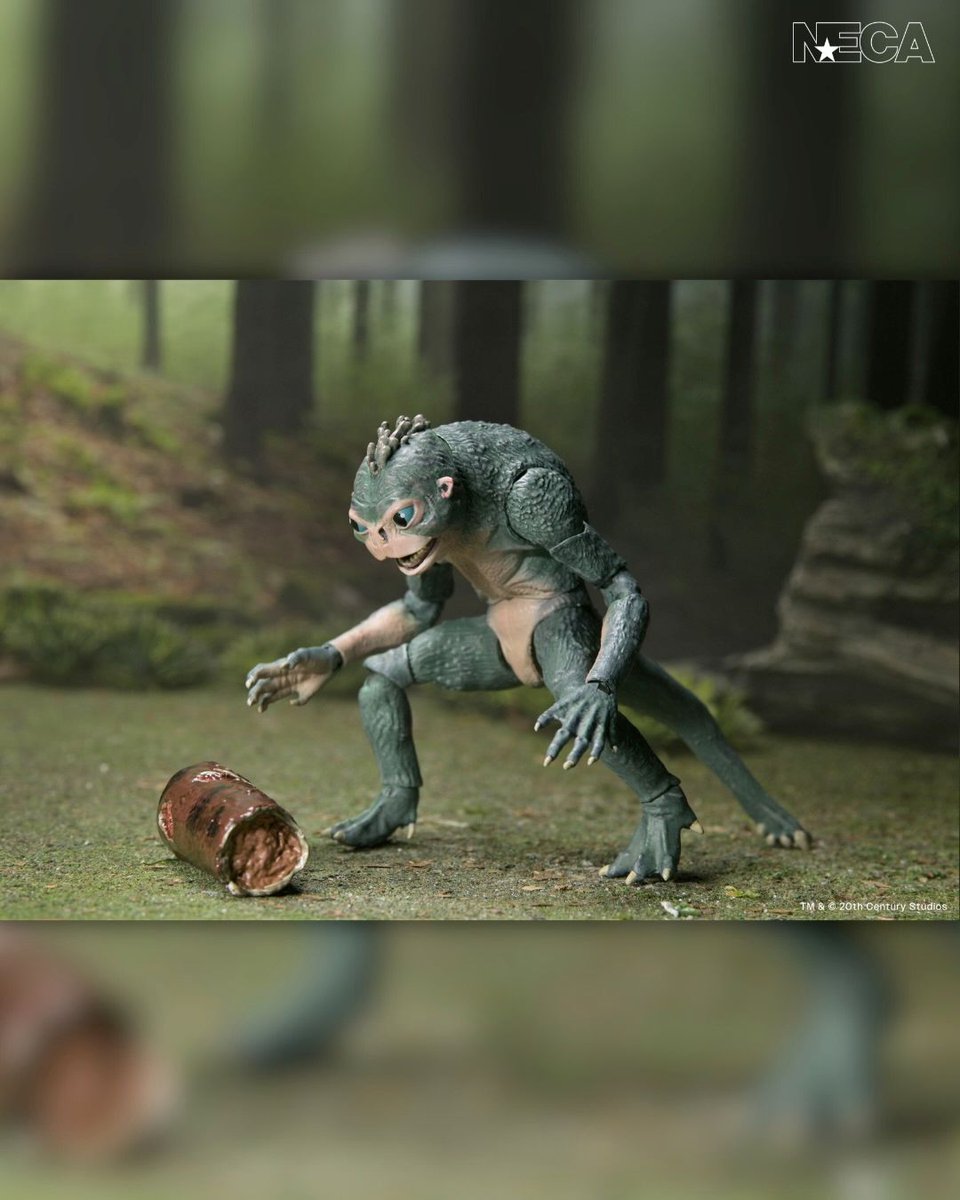 preternia tweet media