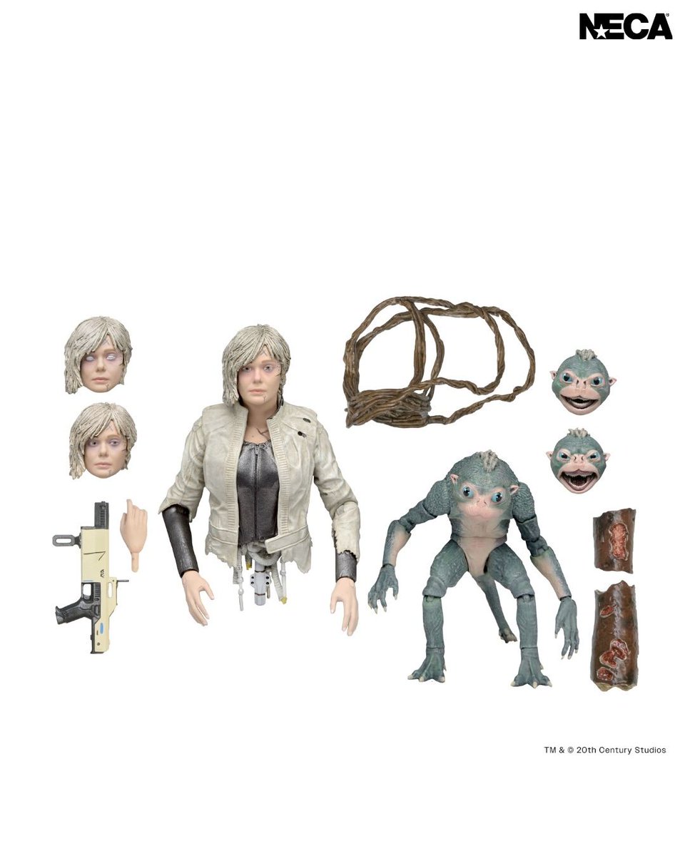 preternia tweet media