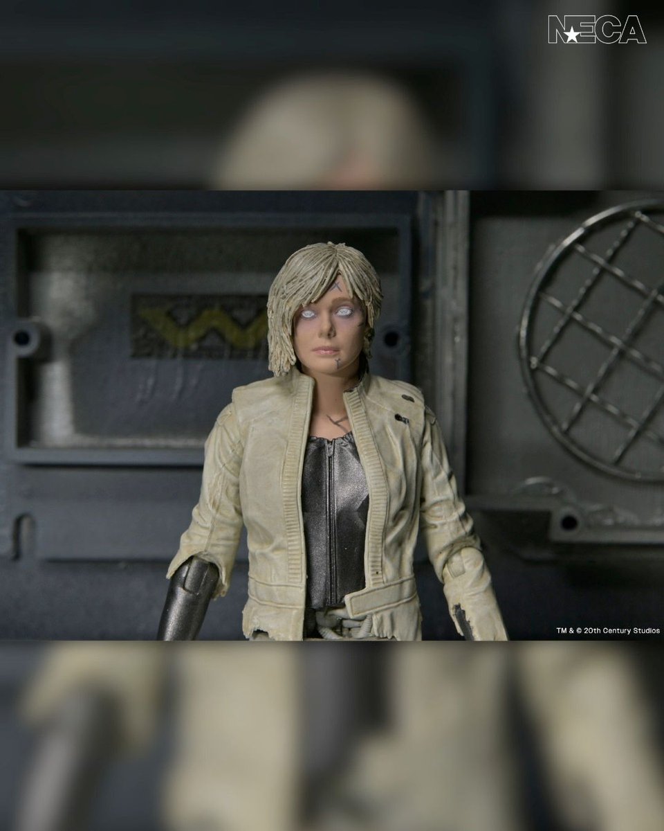 preternia tweet media