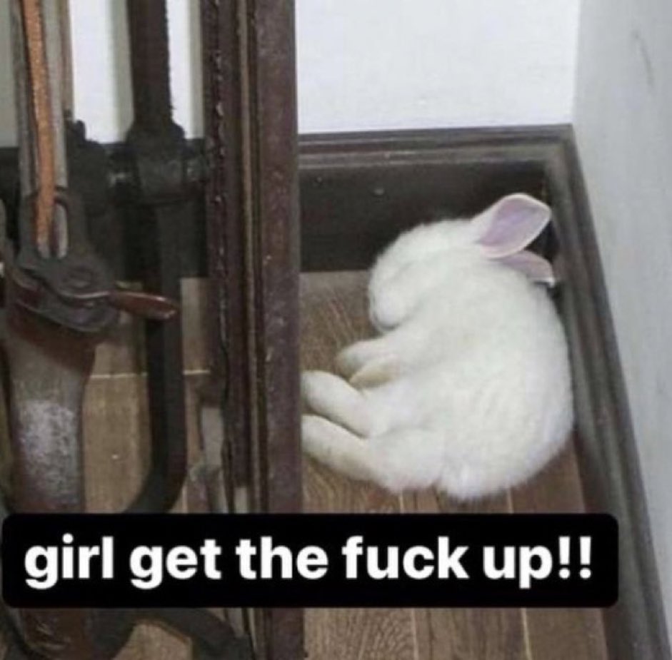 eddie ᥫ᭡ tweet media