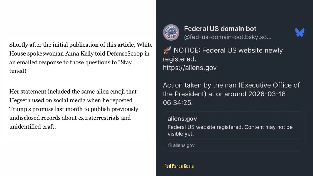 Red Panda Koala tweet media