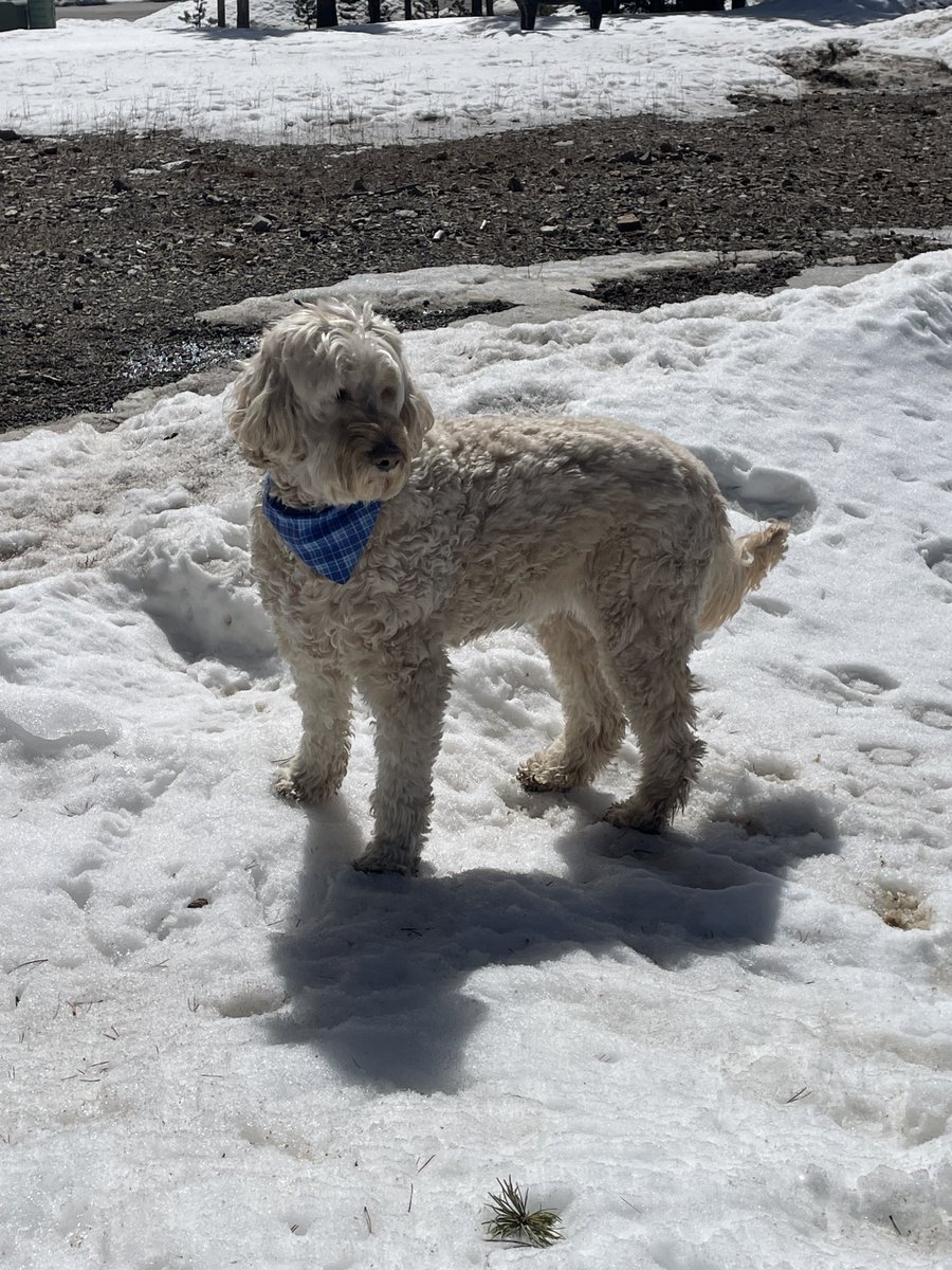 Steve Curtin tweet media