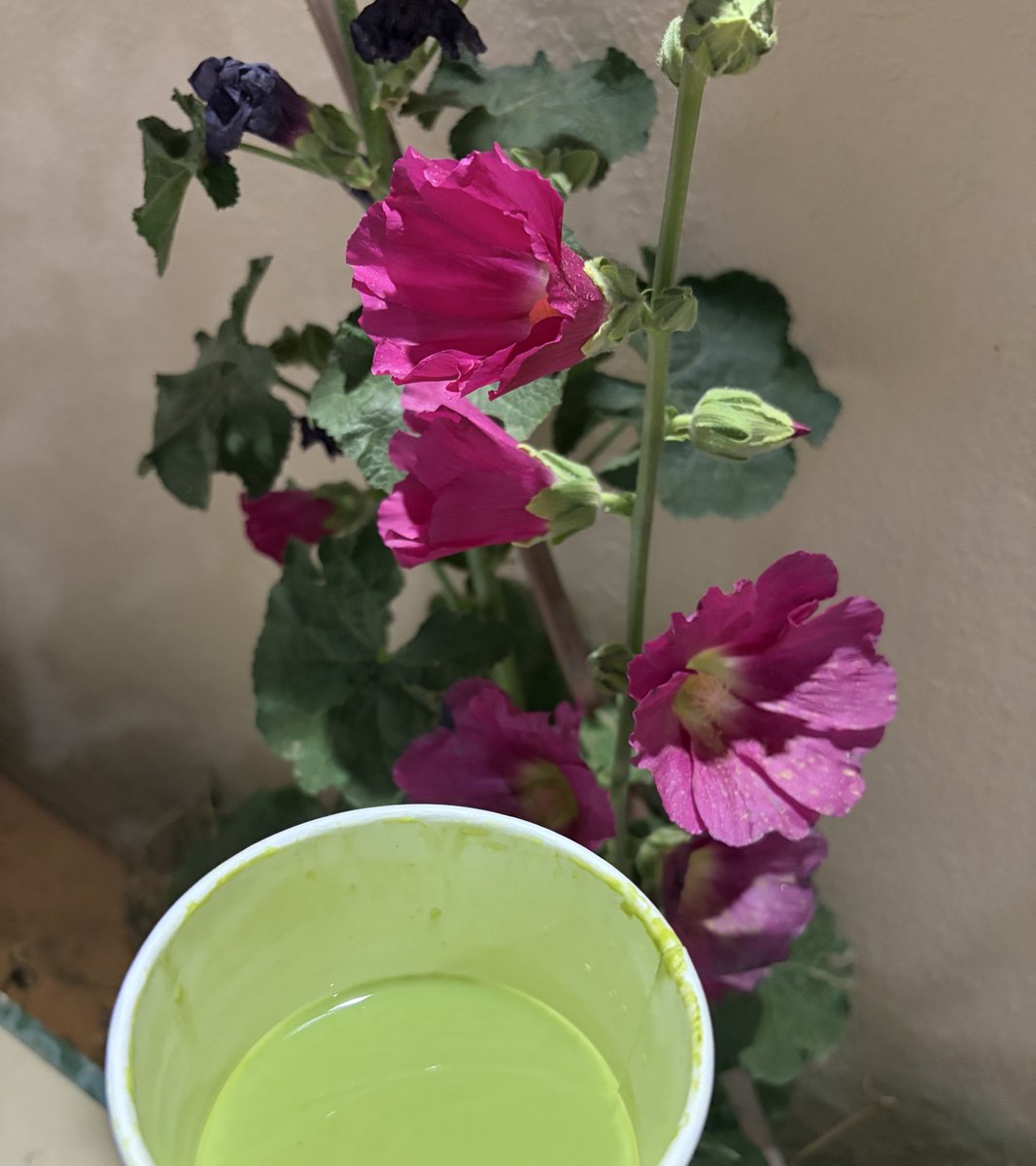 H N D 💚 tweet media