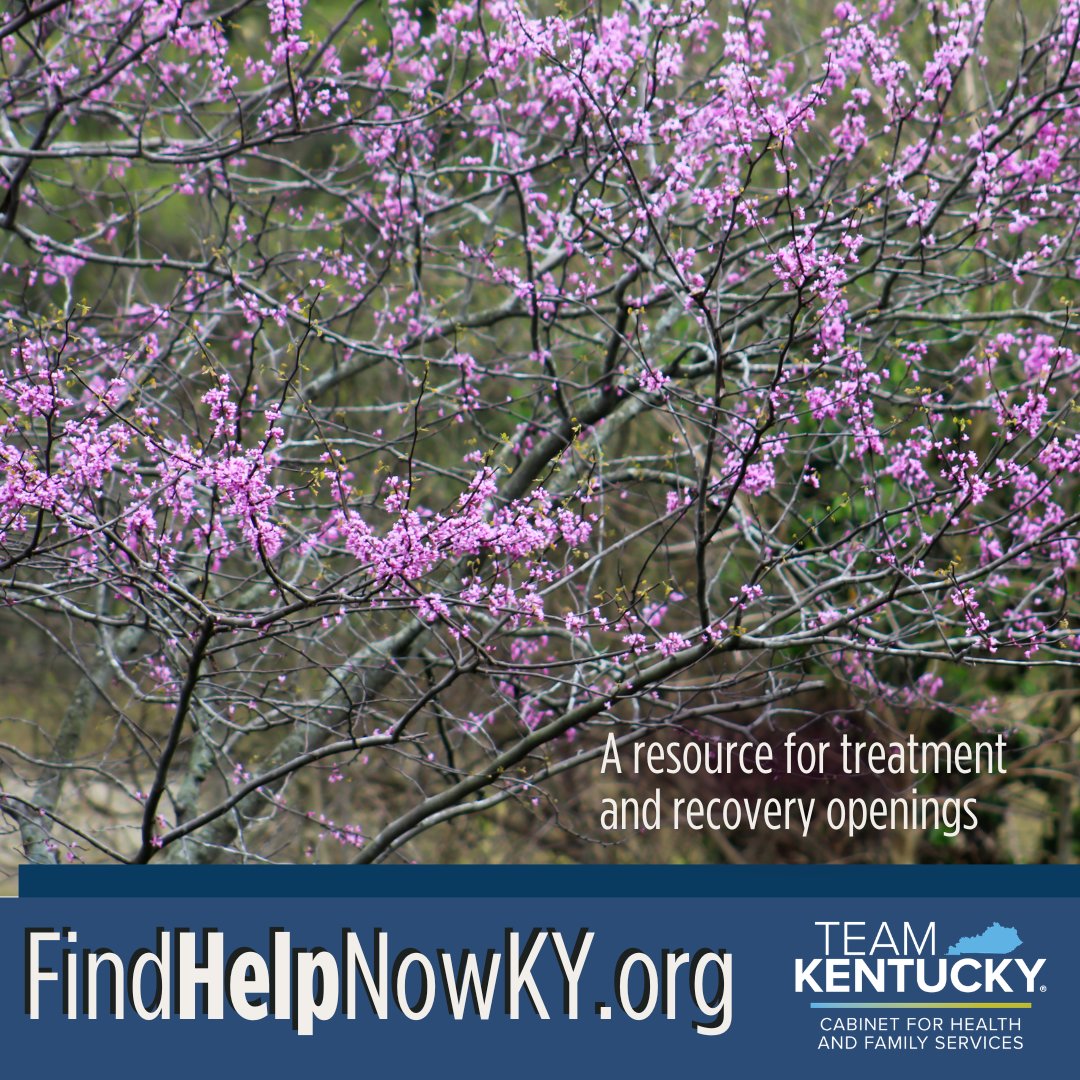 Kentucky Cabinet for Health & Family Services tweet media