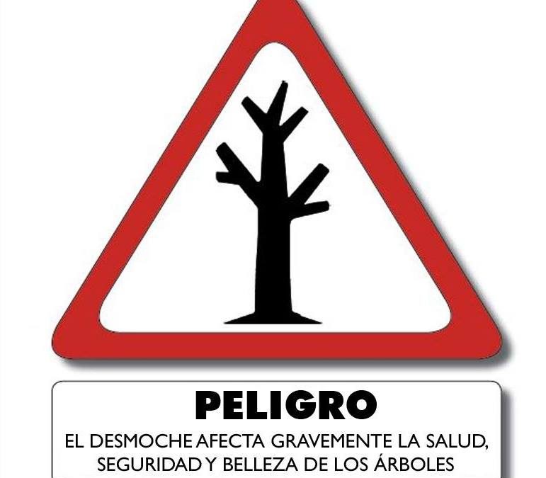 AMAE - SBC tweet media