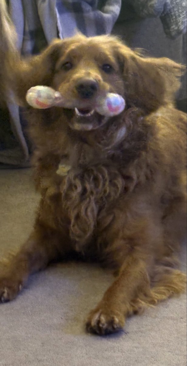 Cooper Jack & Biggie Smalls tweet media