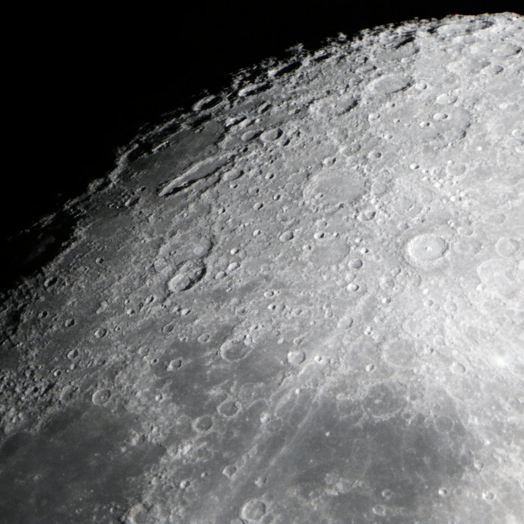 Anthony 🥷 tweet media