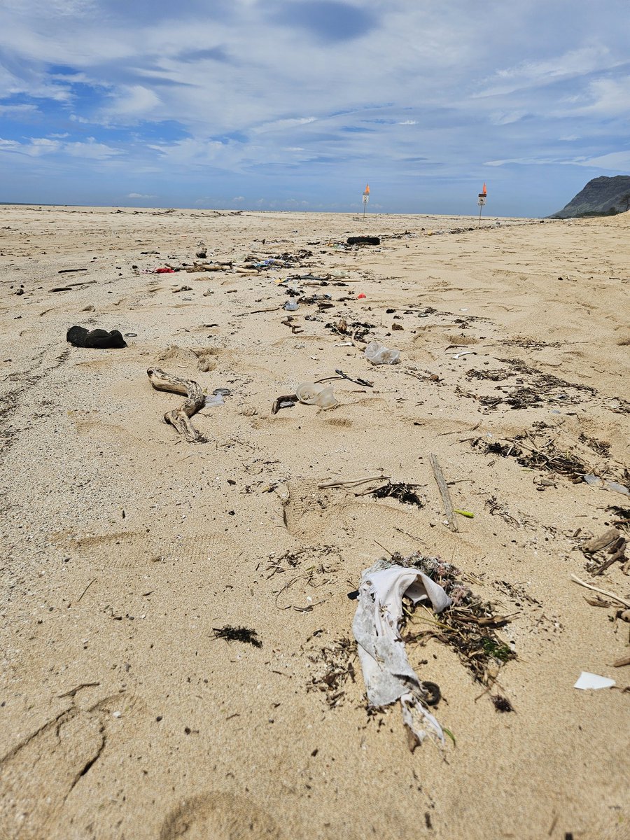 808cleanups tweet media