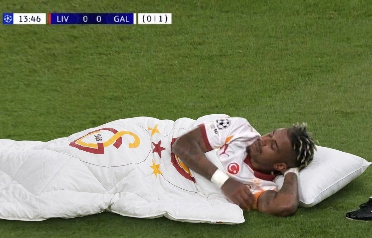 herr daum tweet media