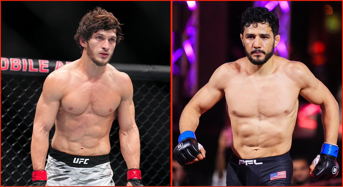 Ocelot MMA tweet media
