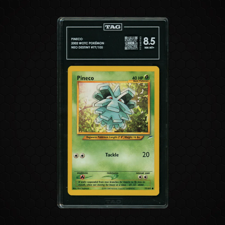 DachshundWizard 🧙‍♂️ tweet media