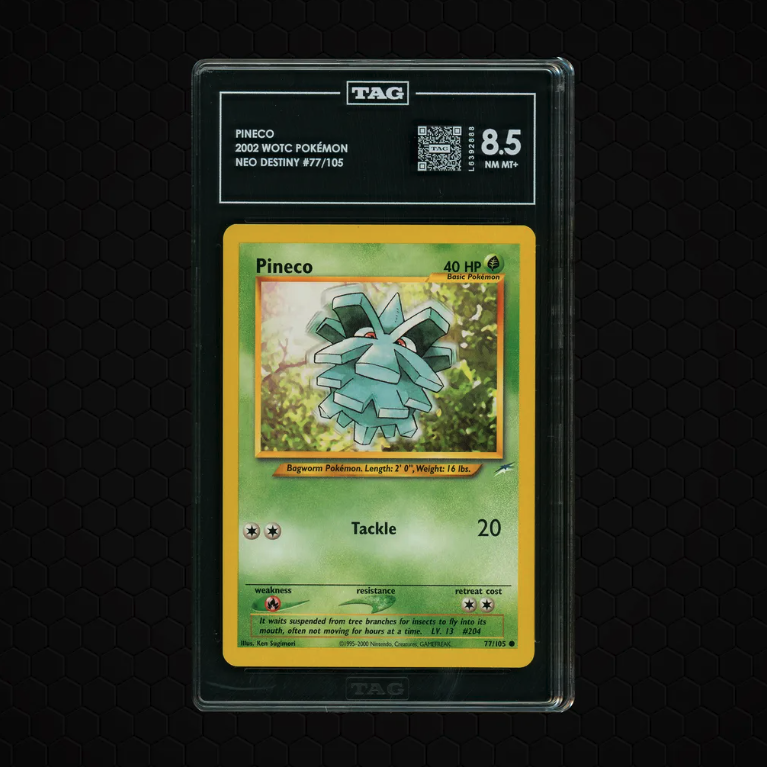 DachshundWizard 🧙‍♂️ tweet media