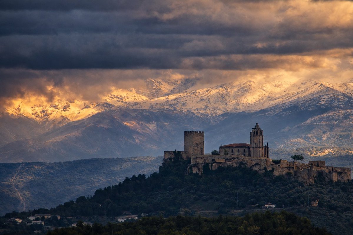 Jose Rambaud tweet media