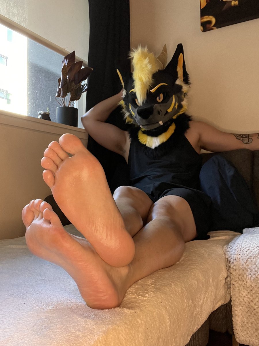 ✨ Lyte ✨ tweet media