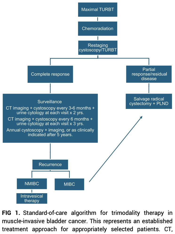 Oscar Tahuahua tweet media