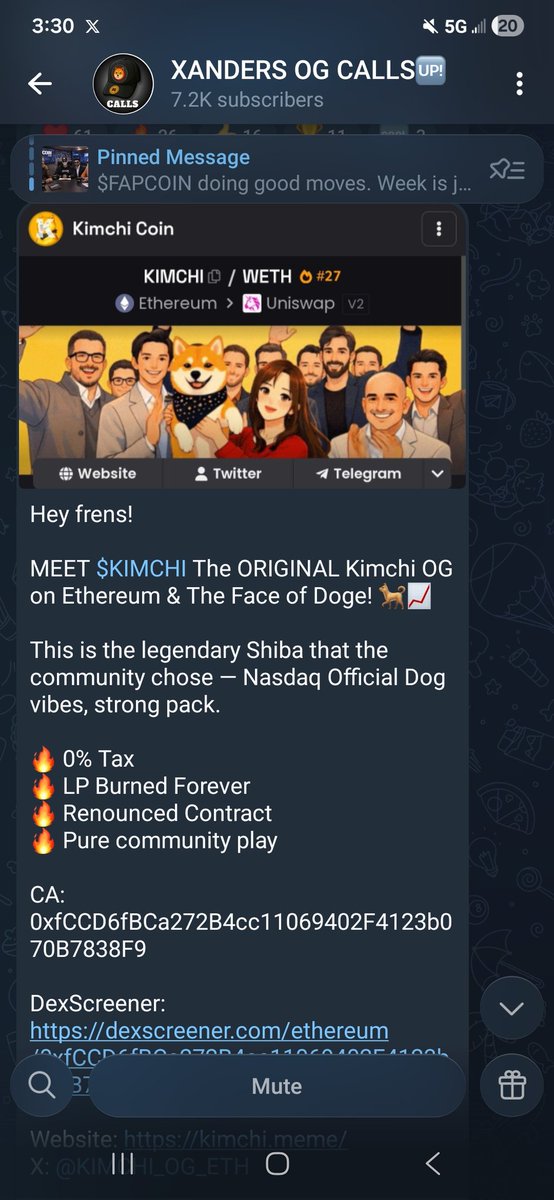 Thr333🐸⚔️ tweet media