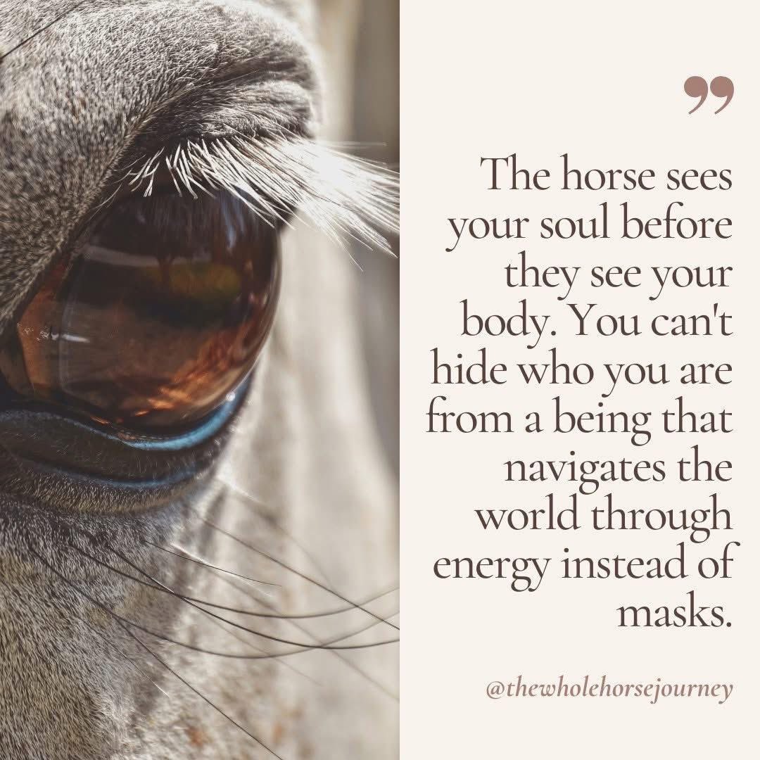 Unbridledones's tweet photo. https://t.co/Hs8lJ2ZxMe