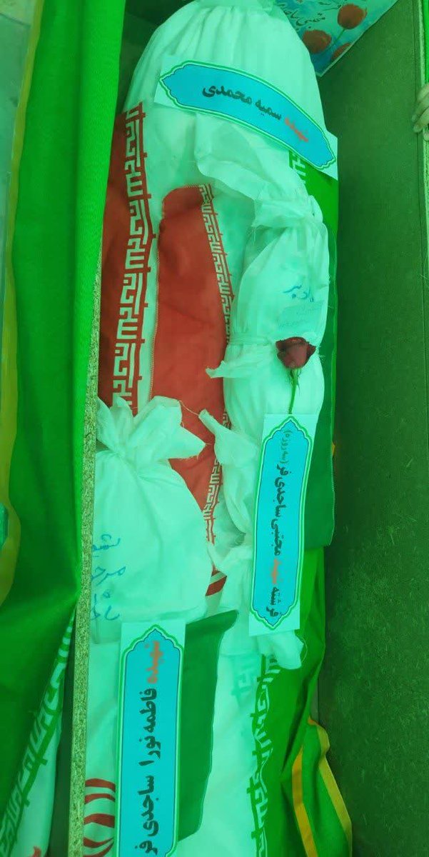 KahaliFatemeh's tweet photo. بدون شرح...

 مادر و بچه های سه روزه و سه ساله...
#تا_پای_جان_برای_ایران 
#لبیک_یا_خامنه_ای 
#ایران_همیشه_پیروز https://t.co/m4ZHjTbFHx