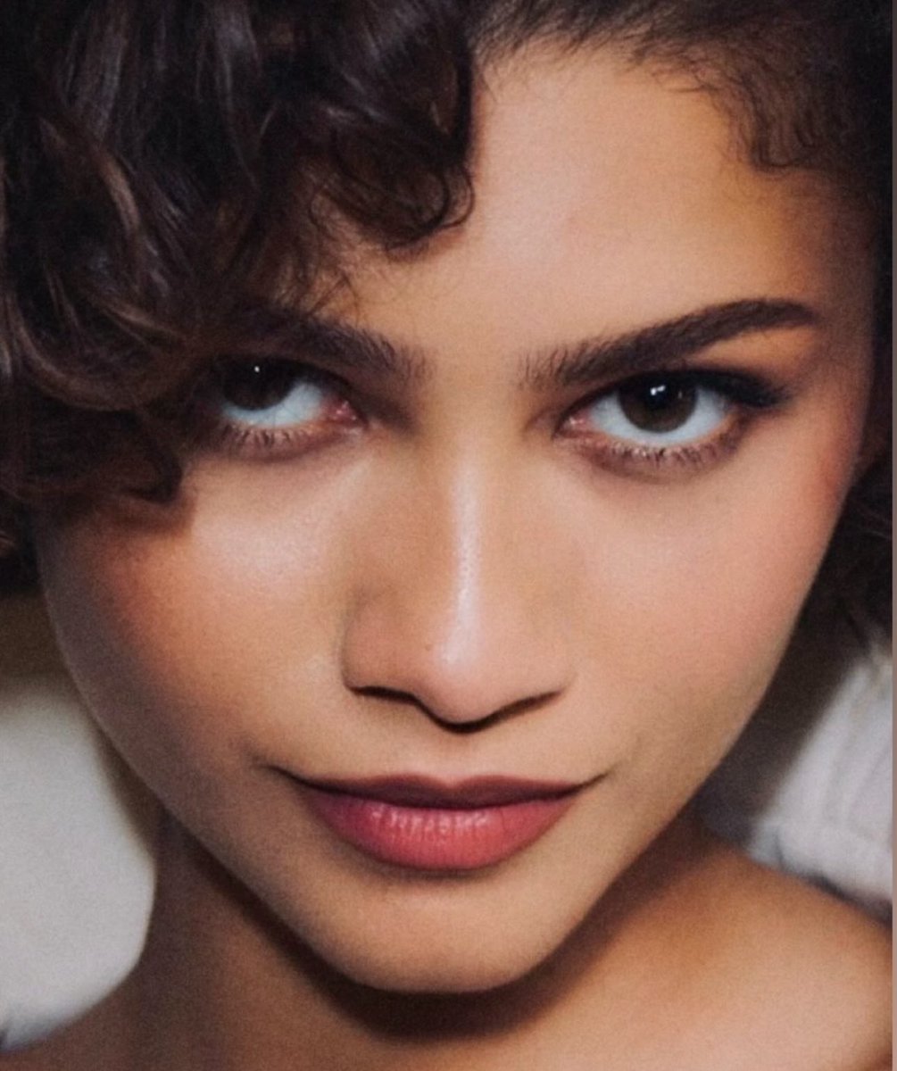 the zendaya collective ✮⋆˙ tweet media