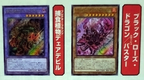 遊戯王　ブラック・ローズ・ドラゴン／バスター　捕食植物デェアデビル 各3枚 HAhqGyWXoAATSKU.jpg?format=jpg