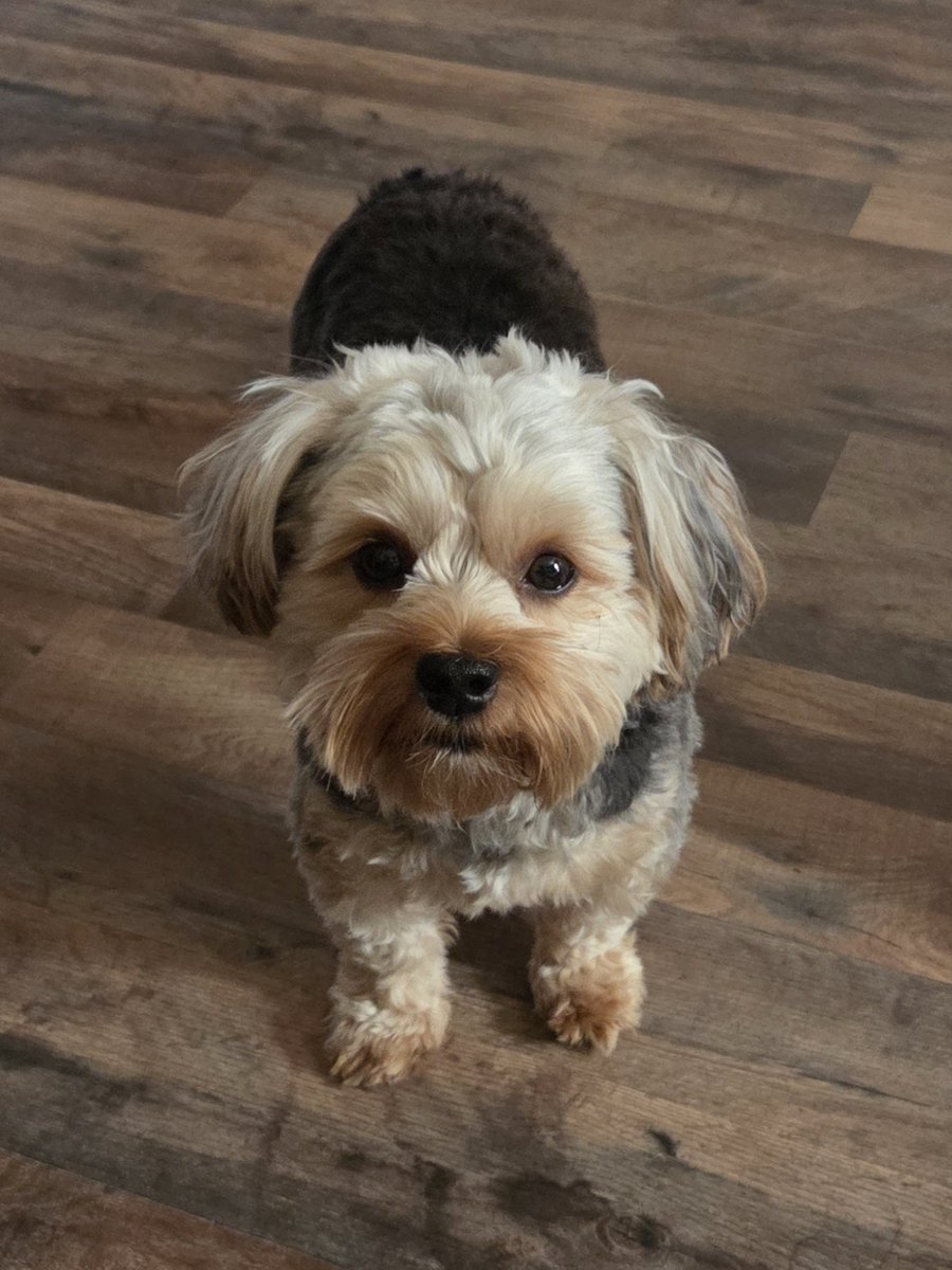 🧡Leslie🧡 tweet media