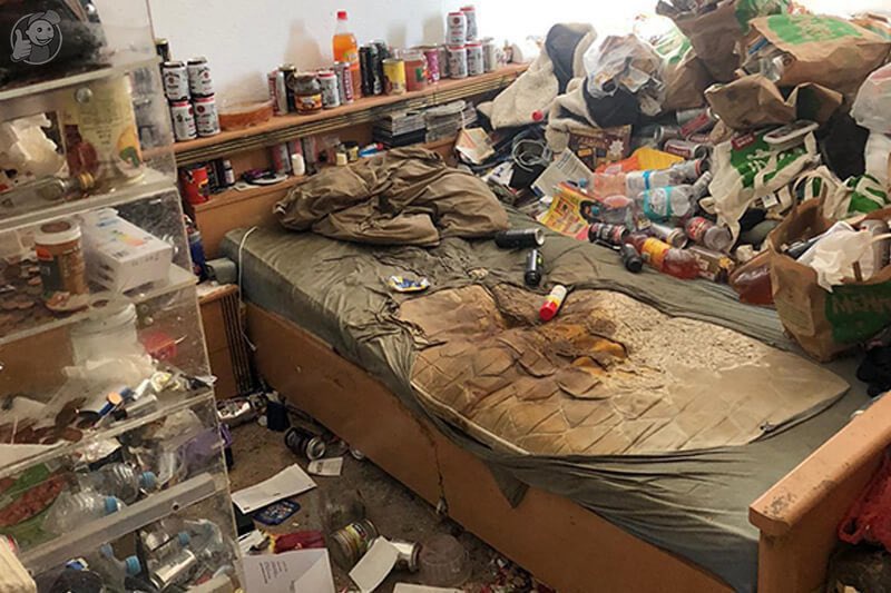 Hembra de apareamiento exclusica de King pig🐽 tweet media