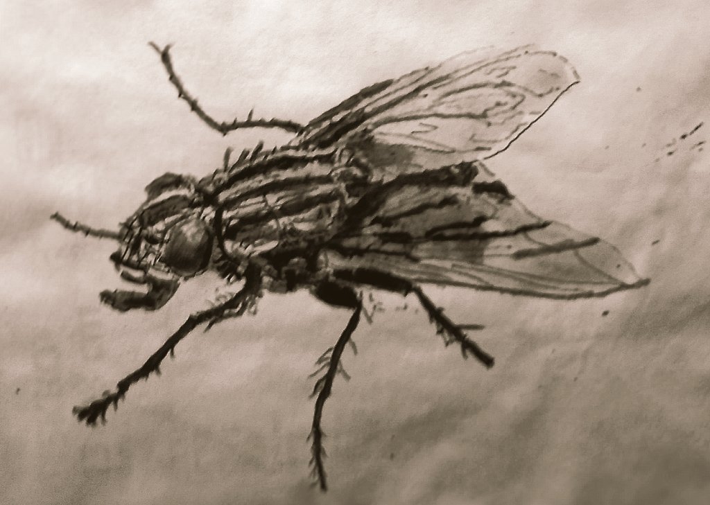 Thomas Müller tweet media