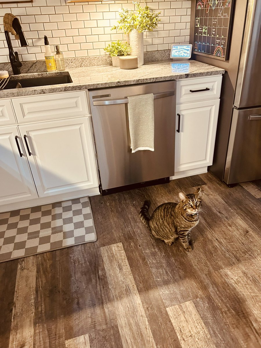 A-Mik ✨🖤✨ tweet media