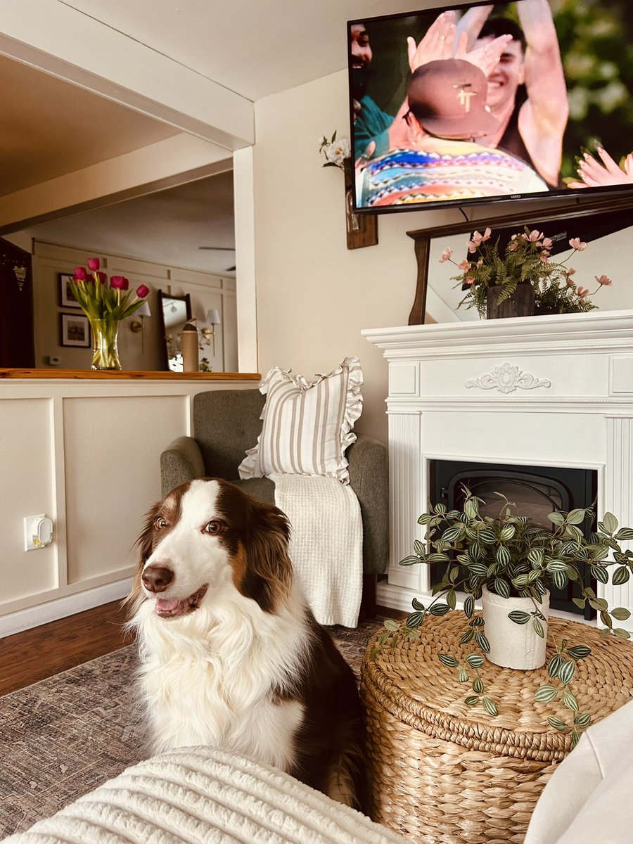 A-Mik ✨🖤✨ tweet media