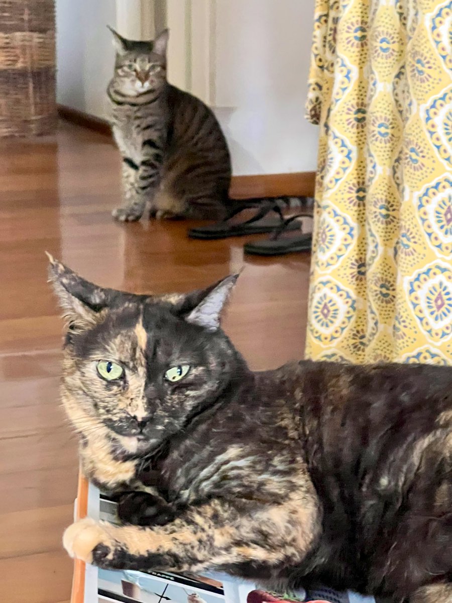 Dave Krantz tweet media