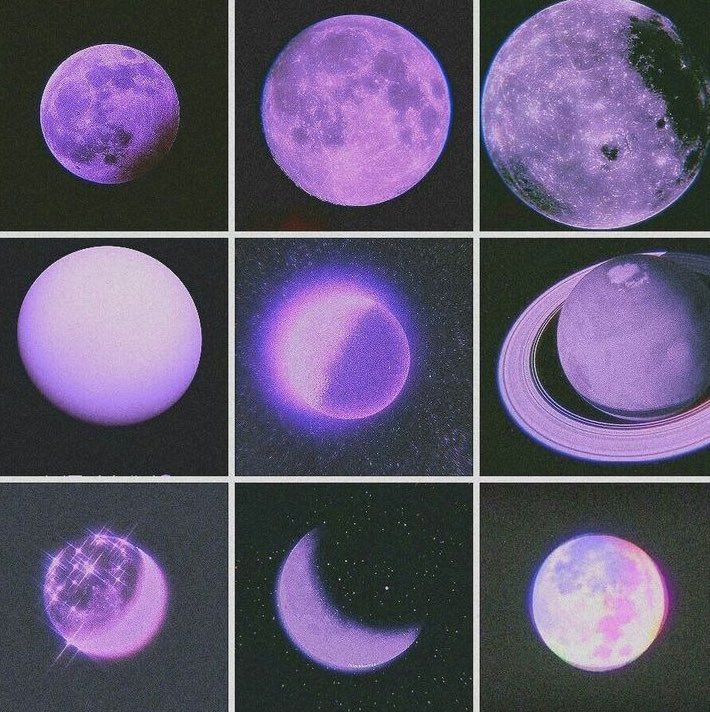 violet✧*｡ tweet media