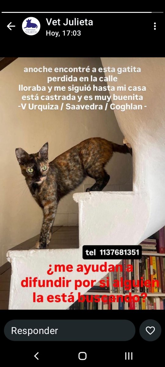 Camila Nesa 🐔 ⚪🔴⚪ tweet media