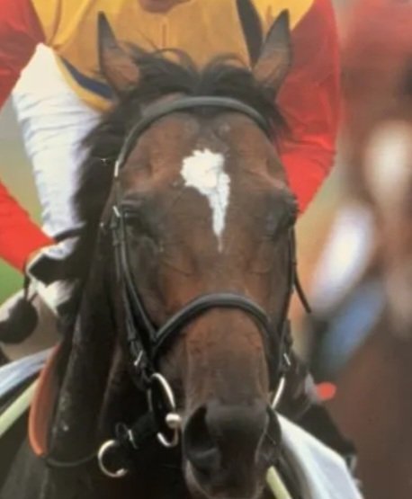 ¿Porque la marca de El Condor Pasa tiene la forma de Sudamérica?