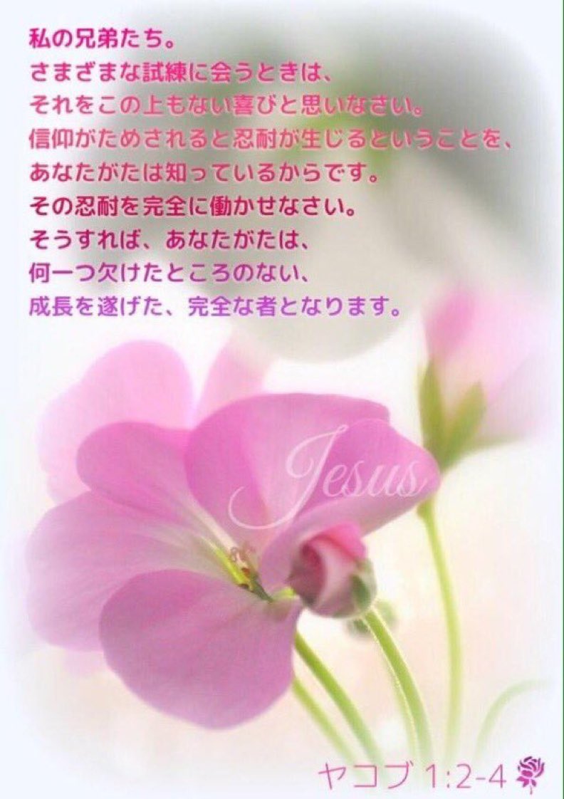 Love♡Jesus tweet media