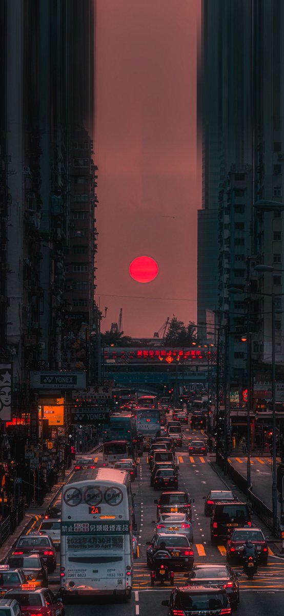 Aesthetics 𝕏 tweet media