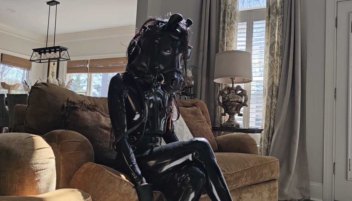 Trey the Explainer tweet media